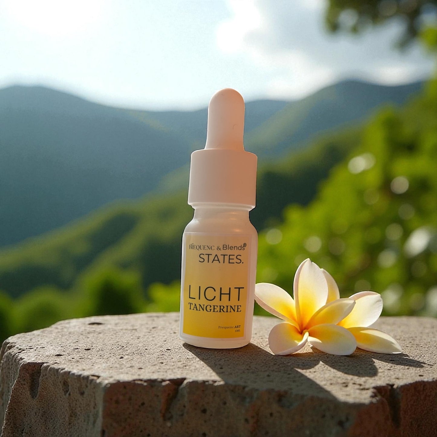 STATES. Licht & Wacher Geist auf Tangerine