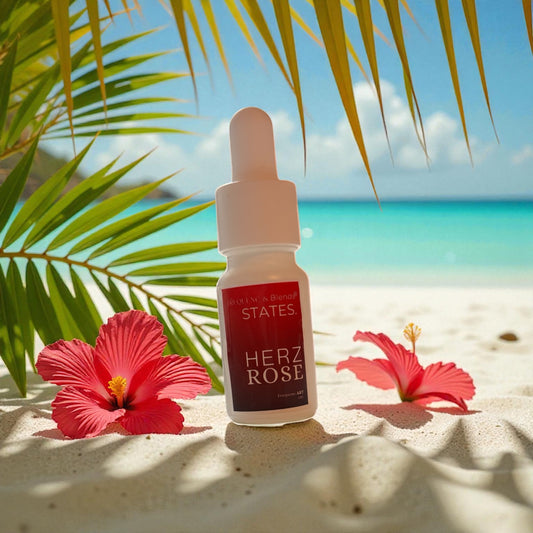 STATES. HERZ Connection auf Rose